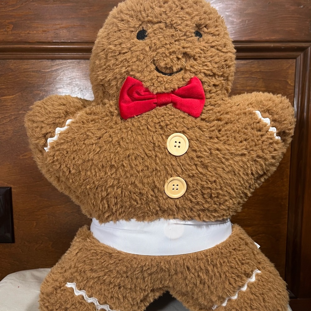 Set of 2 gingerbread pillows by Cupcakes and Cashmere